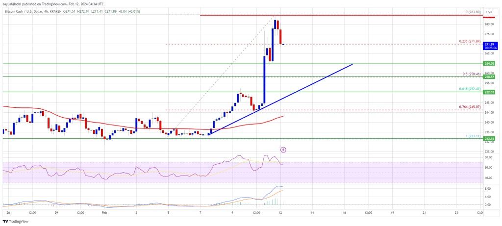 Signs Point to Fresh BCH Rally Ahead