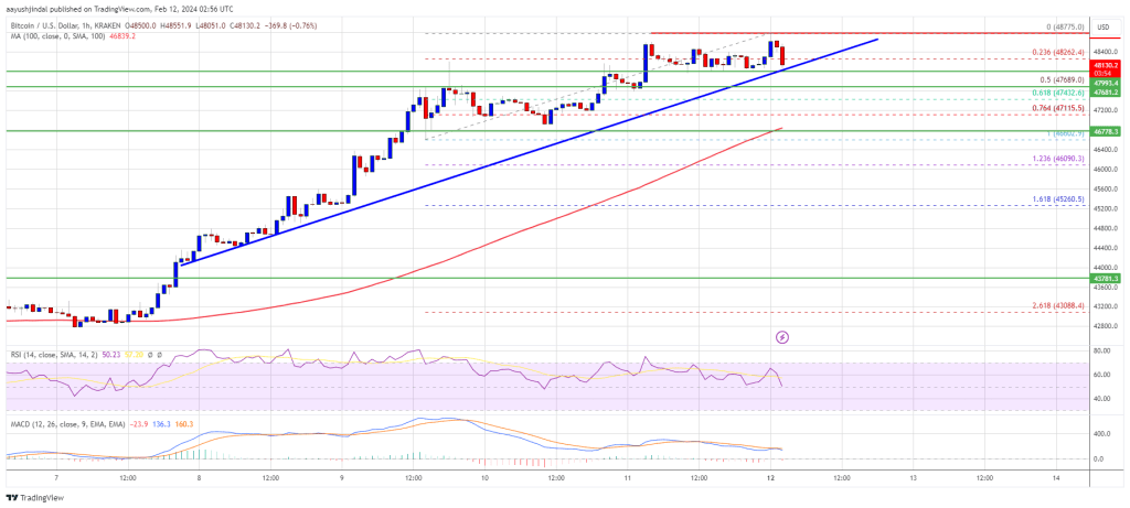 Bitcoin Price Reclaims $48K But Can Bulls Pump BTC To $50K?