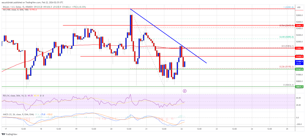 Bitcoin Price Holds Ground But Risk of Pullback Keeps Rising