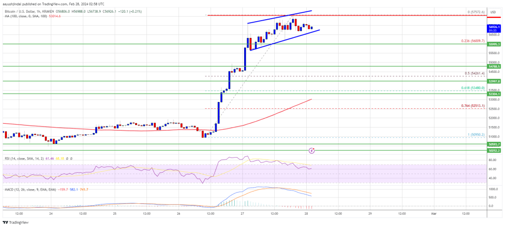 Bitcoin Price Consolidates Gains, Can BTC Extend Rally To $60K?