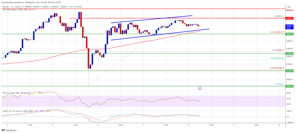 Bitcoin Price Reclaims 100 SMA But Momentum Seems To Be Fading