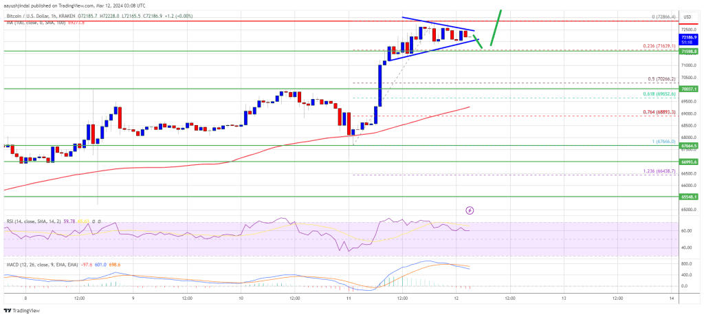 Bitcoin Price Resumes Rally As The Bulls Now Aim For $75K