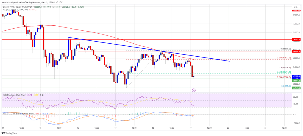 Bitcoin Price At Risk of More Downsides Before Fresh Increase To $70K