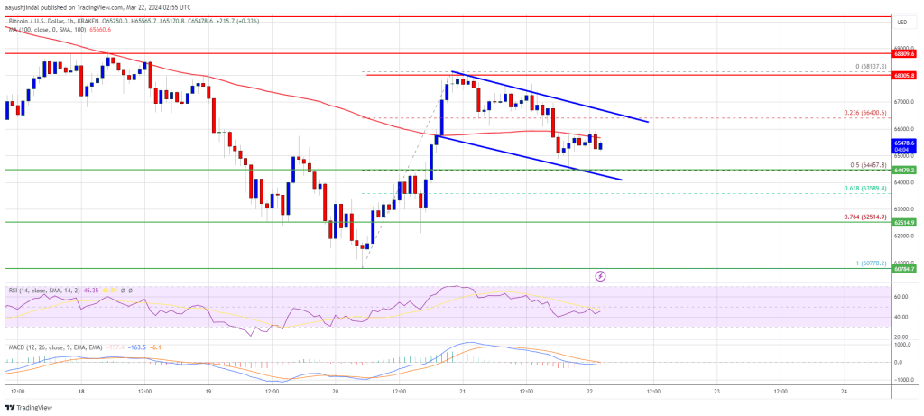 Bitcoin Price Rejects $68K, Indicators Signal Fresh Downside To $62K