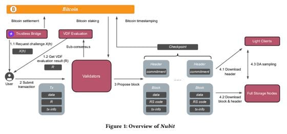 Worldcoin Open-Sources Core Components of Orb Software