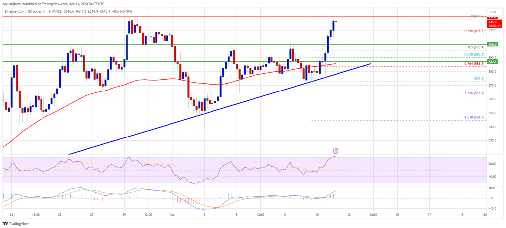 BNB Price Regains Strength As The Bulls Aim For $650