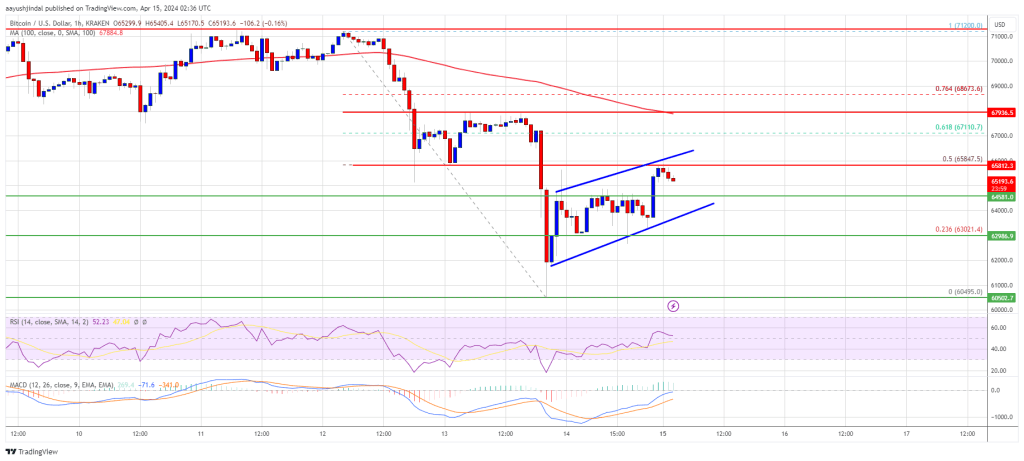 Bitcoin Price Downside Thrust Over Or The Bears Are Not Done Yet?