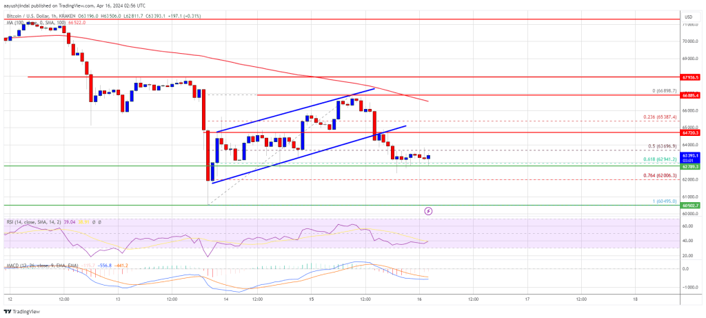 Bitcoin Price Restarts Decline, Can BTC Bulls Protect $60K?