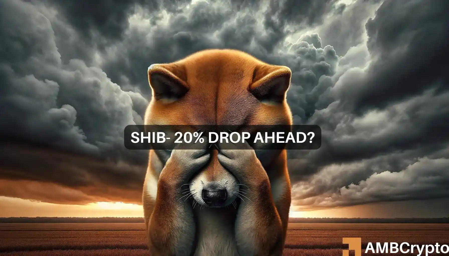 Shiba Inu: Should you trust this indicator and buy SHIB today?