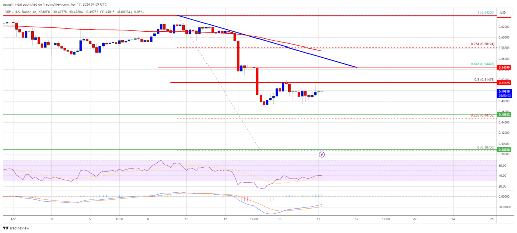 XRP Price Recovery Could Soon Fade, These Are Key Levels To Watch