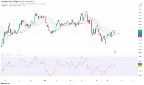 BNB Resilience: Holding Firm At $560 – What’s Next?