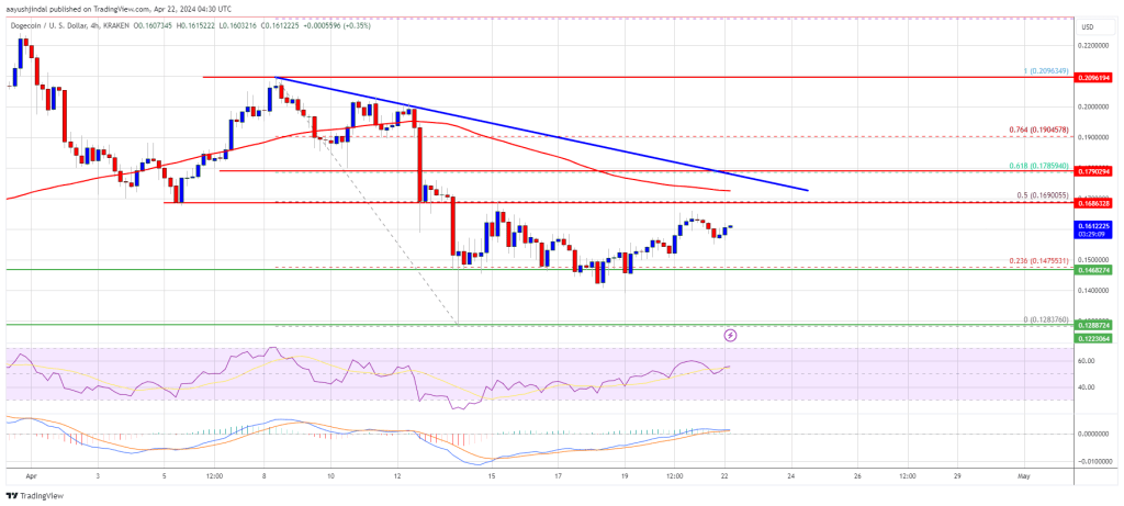 DOGE Price Prediction – Dogecoin Recovery Could Stall At $0.170