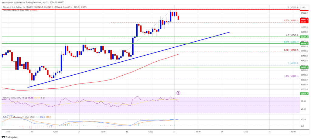 Bitcoin Price Extends Increase, Why Dips Turned Attractive In Short-Term