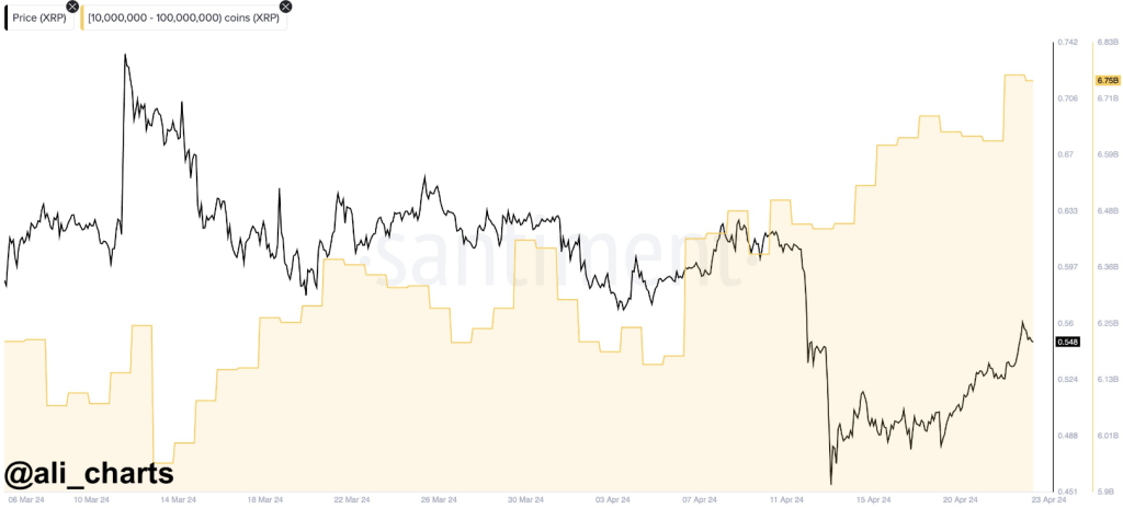 600 Million Token Influx as Whales Make Their Presence Felt