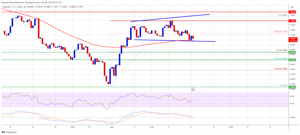 DOT Price (Polkadot) Reaches Key Juncture, Is This Bulls Trap or Correction?