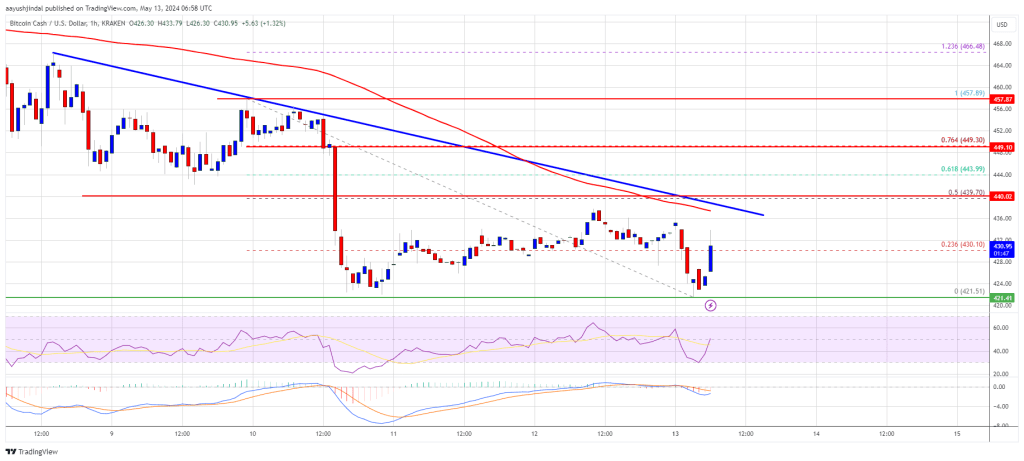 Bitcoin Cash Price At Make-Or-Break Moment, Key Levels To Watch