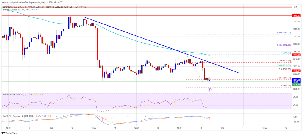 Ethereum Price Takes Hit and Turns At Risk of Fresh Lows