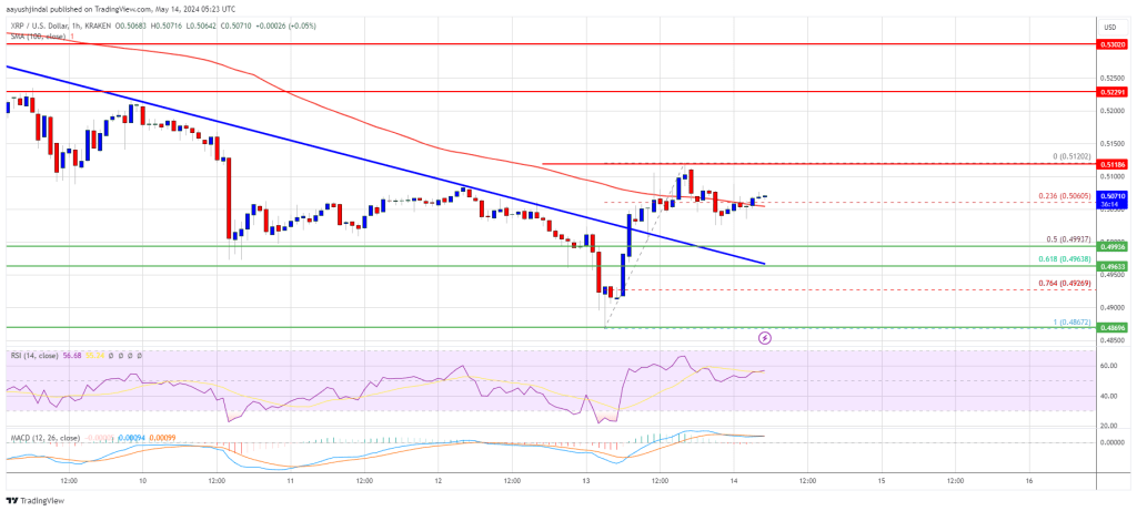 Can XRP Price Maintain Momentum? Key Levels to Watch in the Short Term