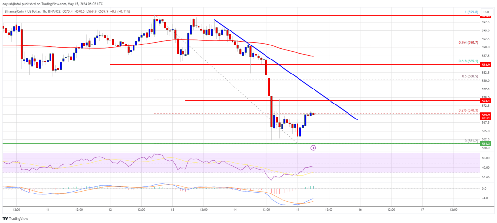 BNB Price Recovery in Limbo: Potential Cap Looms Amid Market Uncertainties