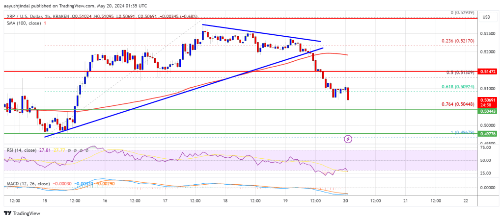 Will It Face Another Downside Break?