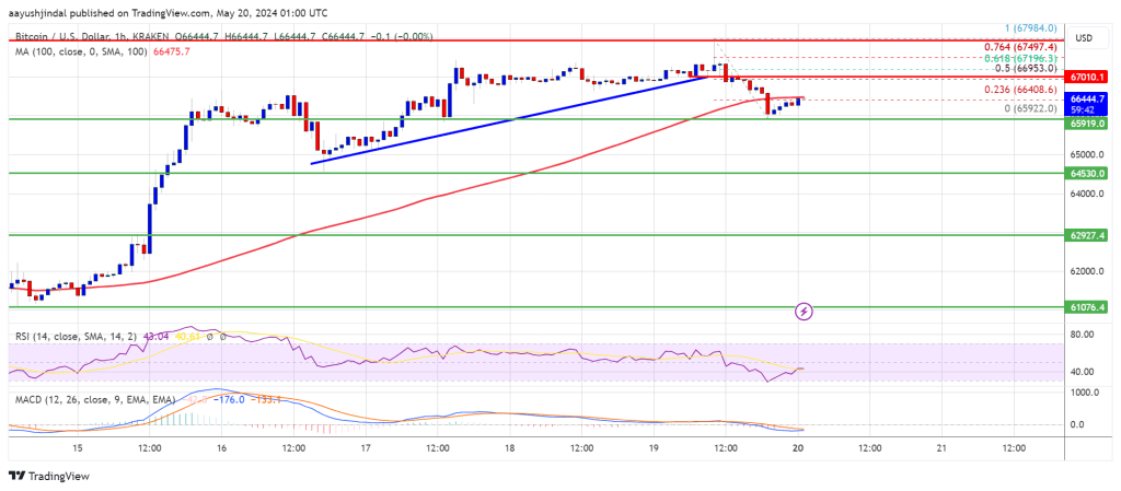 Bitcoin Price Dips Yet Stays Positive: Market Sentiment Remains Upbeat