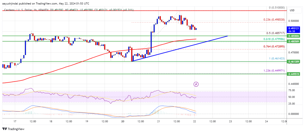 Can Cardano Catch Up with Other Altcoins?