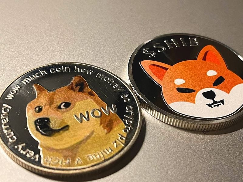 DOGE, SHIB Price Spike After Elon Musk Tweet’s About Mascot Dog Kabosu’s Passing