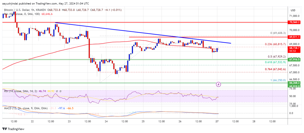 Market Momentum Slows Amid Trading Hesitation