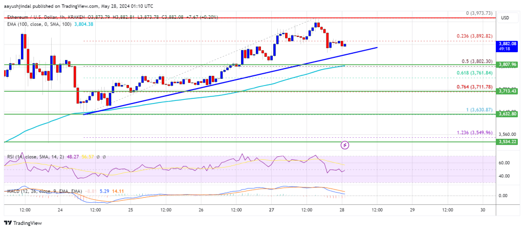 Bullish Momentum Drives Higher Gains