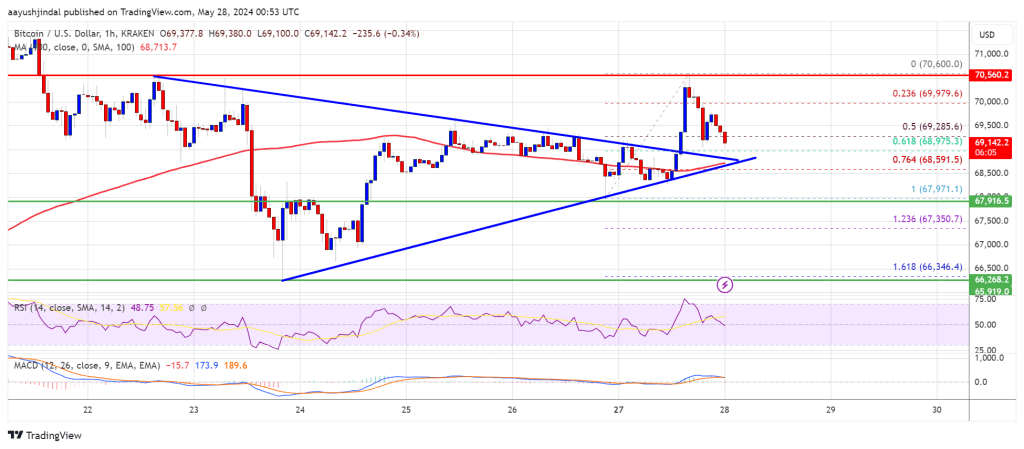 Bullish Trend Signals New Peaks Ahead