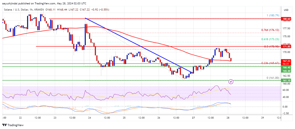 Will the Rally Ignite a Surge?