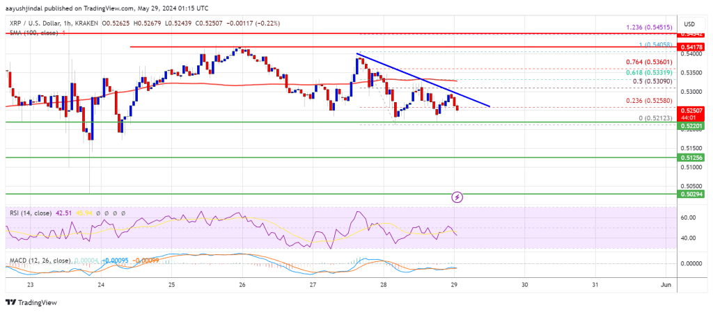 Will It Sink or Swim at Key Support Levels?