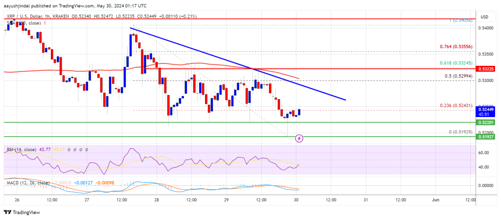 XRP Price Steadies Above Support: Gearing Up for a Breakout?