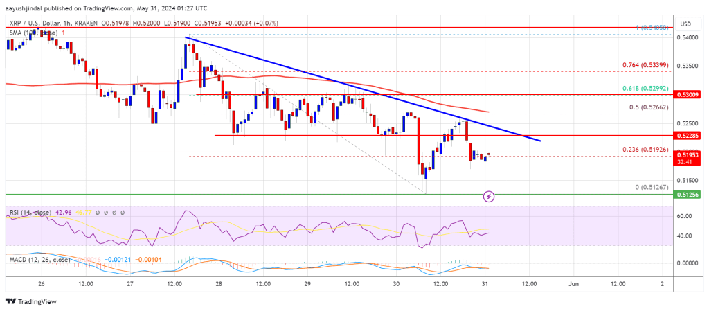 Searching for Support Amid Downtrend