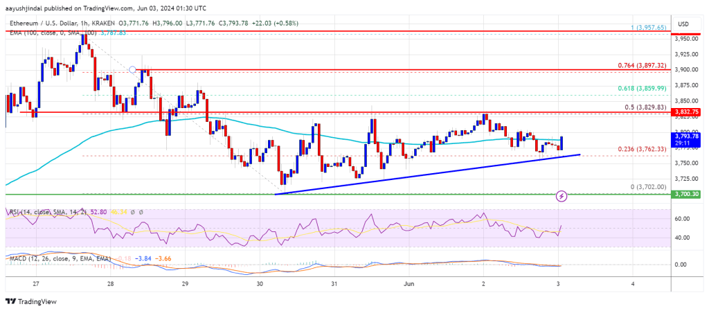 Strong Support Hints at Exciting Upside Potential