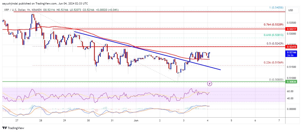 Can XRP Price Recover? Analyzing the Potential for a Rebound