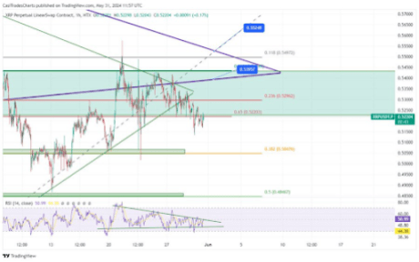 Crypto Analyst Forecasts A 4,000% XRP Price Run To $30, Here’s When