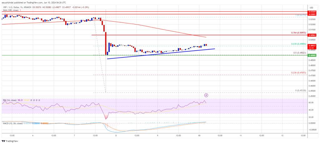 XRP Price Rebound in Jeopardy: Recovery May Falter