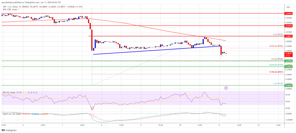 XRP Price at Risk of Significant Downturn