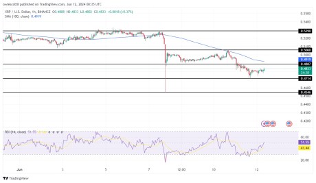 XRP Price Undergoes Brief Recovery