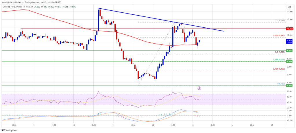 UNI Eyes Set on Further Gains