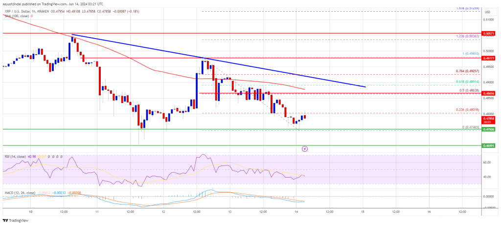 Key Support Levels to Watch