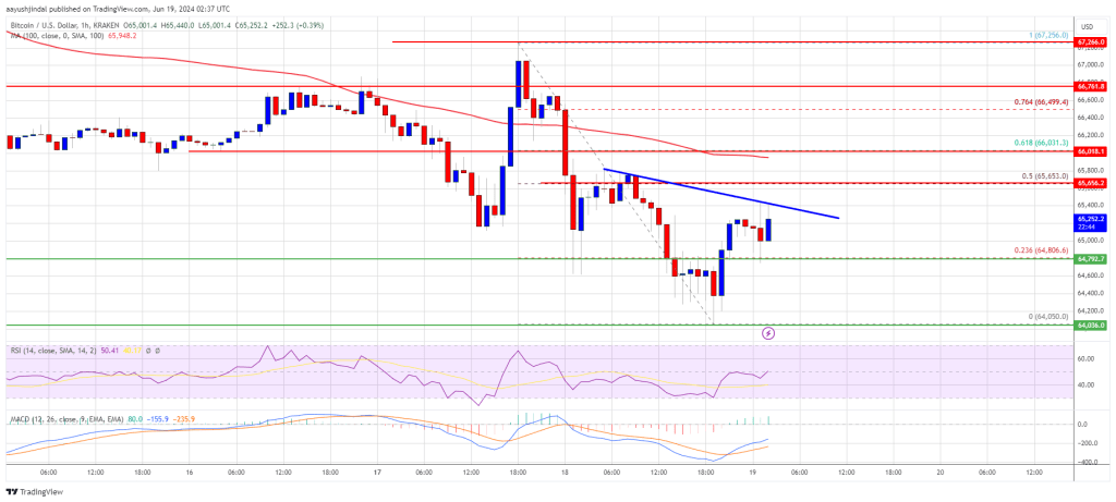 Bitcoin Price Remains at Risk Despite Recent Moves, Indicators Turn Bearish