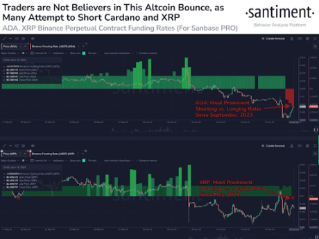 Cardano And XRP Shorting Activity Could Act As ‘Rocket Fuel’ For A Rally; Santiment