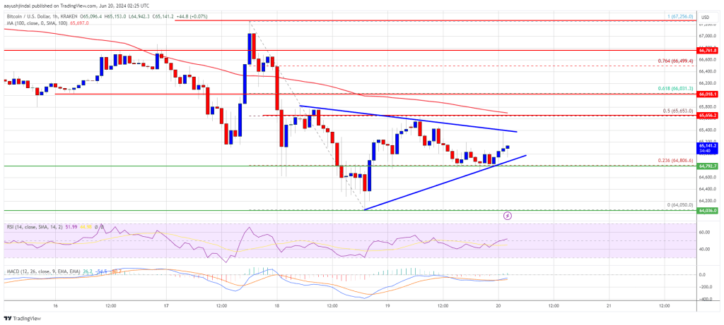 Bitcoin Price Could Attempt to Recover Lost Ground But Faces Many Hurdles