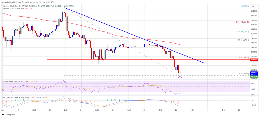 Bitcoin Price Takes a Plunge: Analyzing the Sudden Drop