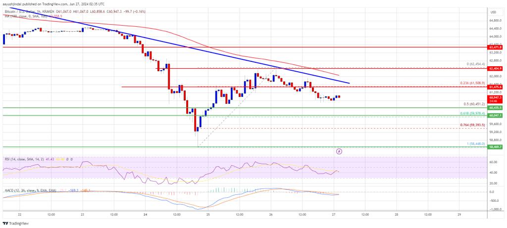 Key Support Levels to Monitor