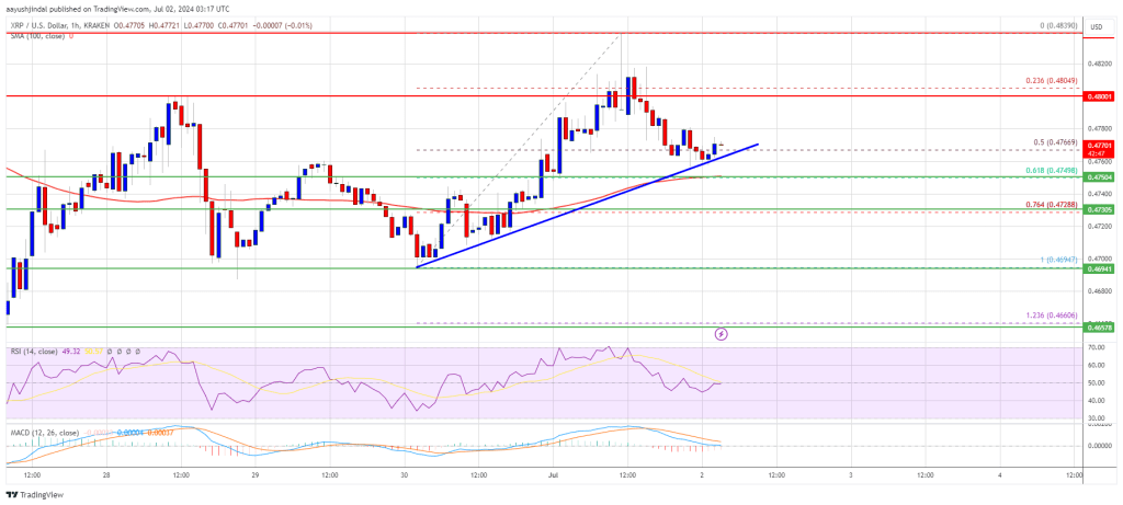 XRP Price Maintains Support Level: What It Means For The Bulls