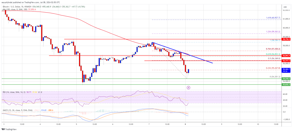 Bitcoin Price Downtrend Continues: Brace for More Losses