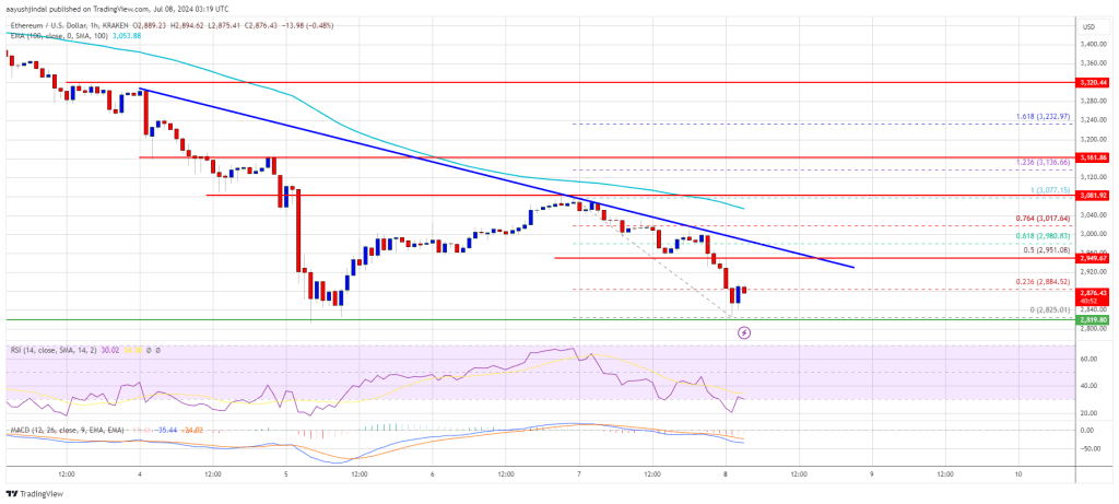 Bearish Sentiment Points to Deeper Decline